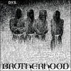 DYS "Brotherhood"