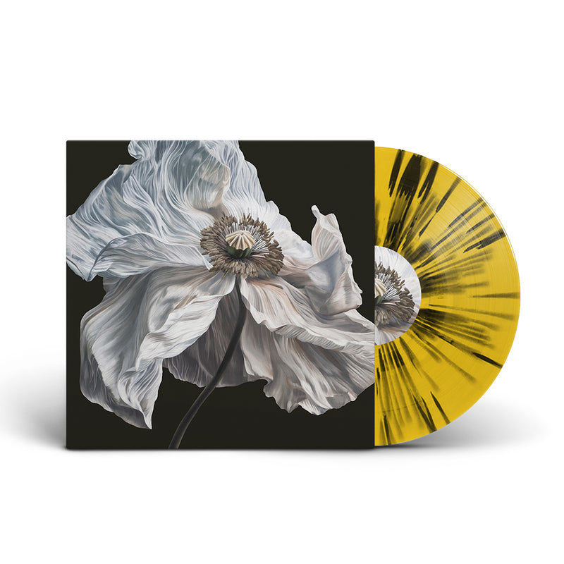 Quicksand "Bring On The Psychics"