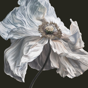 Quicksand "Bring On The Psychics"