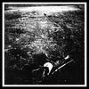 Compassion "Pacing Animal"