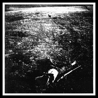 Compassion "Pacing Animal"