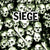 DPS55-1 Siege "Drop Dead" LP Album Artwork