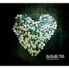EPI7075-1 Alkaline Trio "This Addiction" LP Album Artwork