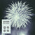 EVR310-1 Gatherers "Quiet World" LP Album Artwork