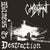 NLY029-1 Combatant "Witness To Destruction" LP Album Artwork