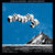 THMR489-1 Dinosaur Jr. "Blue Room Sessions" 7" Album Artwork